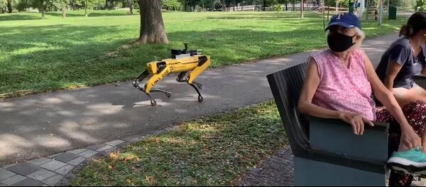 Робот-пес просит людей в сингапурском парке соблюдать дистанцию — видео Робот-пес просит людей в сингапурском парке соблюдать дистанцию — видео - Sputnik Кыргызстан
