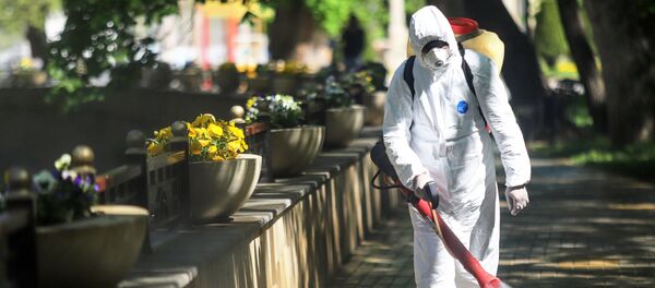 Дезинфекция жүргүзүп жаткан муниципалдык кызматкер. Архив - Sputnik Кыргызстан