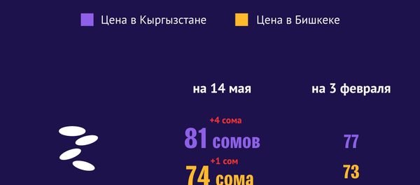 Как изменились цены на продукты в Кыргызстане - Sputnik Кыргызстан