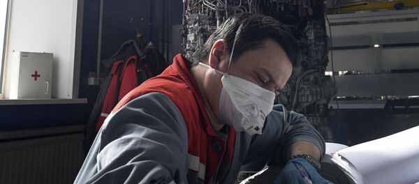 В Ленинградской области возобновили работу системообразующие предприятия - Sputnik Кыргызстан