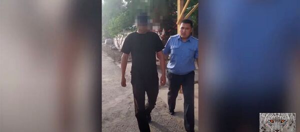 Милициянын Кочкор-Атада кылмыштуу топтун 11 мүчөсүн кармаган видеосу - Sputnik Кыргызстан