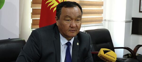 Глава энергохолдинга КР об импорте электроэнергии и о тарифах — видео - Sputnik Кыргызстан