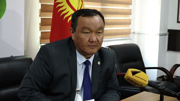 Глава энергохолдинга КР об импорте электроэнергии и о тарифах — видео - Sputnik Кыргызстан