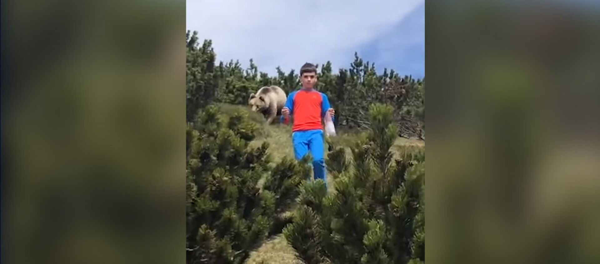 Вот это выдержка! Спокойствие мальчика спасло его от огромного медведя — видео - Sputnik Кыргызстан, 1920, 28.05.2020