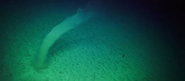 Ученые столкнулись с подводным торнадо — видео редкого явления - Sputnik Кыргызстан