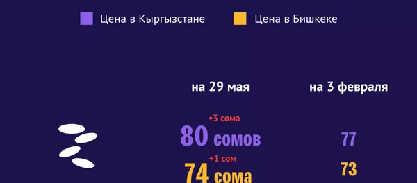 Как изменились цены на продукты в Кыргызстане - Sputnik Кыргызстан