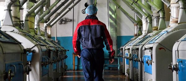 Заводы по производству круп и мукомольной продукции в Новосибирской области - Sputnik Кыргызстан