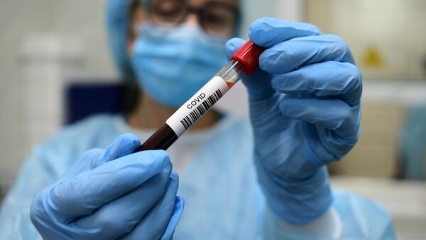 Сотрудник лаборатории во время проверки биоматериала на наличие новой коронавирусной инфекции. - Sputnik Кыргызстан