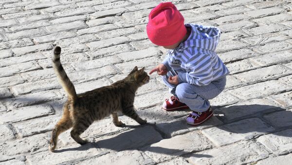 Ребенок играется с кошкой на улице. Архивное фото - Sputnik Кыргызстан