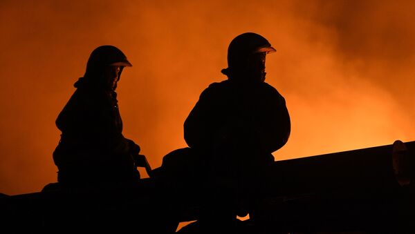 Пожары в Новосибирской области - Sputnik Кыргызстан