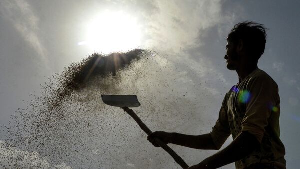 Индийский рабочий с лопатой во время работы. Архивное фото - Sputnik Кыргызстан