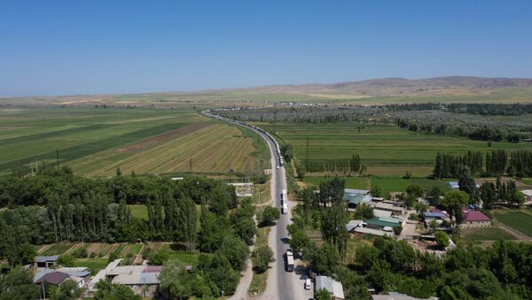 Огромная пробка из грузовых машин на кыргызско-казахской границе - Sputnik Кыргызстан