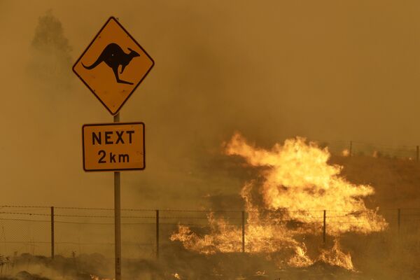 Природные пожары в Австралии - Sputnik Кыргызстан