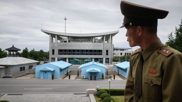 Түндүк Кореянын жоокери Түштүк Корея чек арасын жанында турат. Архив - Sputnik Кыргызстан