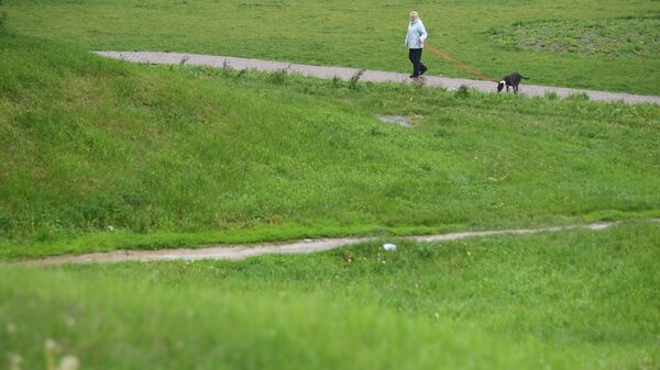 Женщина с питомцем на прогулке. Архивное фото - Sputnik Кыргызстан