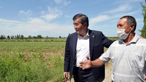  Президент КР Сооронбай Жээнбеков с фермером в Араванском районе во время рабочей поездки в Ошскую область - Sputnik Кыргызстан