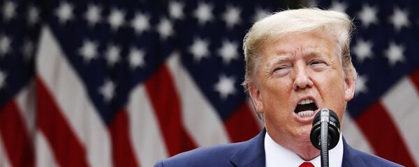 Президент США Дональд Трамп во время брифинга. Архивное фото - Sputnik Кыргызстан