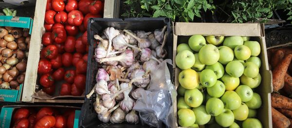 Ослабление карантинного режима в России - Sputnik Кыргызстан