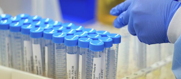 Сотрудник лаборатории во время проведения анализа на коронавирус Сотрудник лаборатории во время проведения анализа на коронавирус - Sputnik Кыргызстан