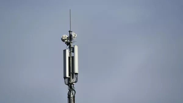 Интернет-трафик вырос в связи с удаленной работой - Sputnik Кыргызстан