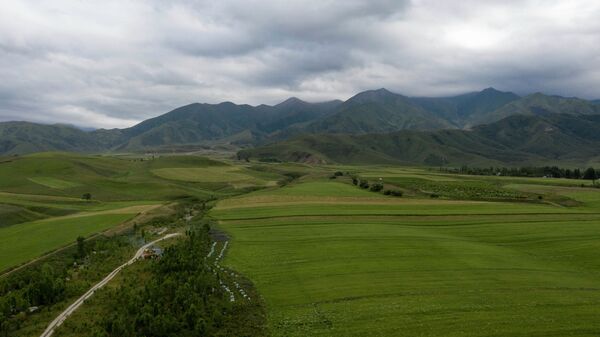 Зеленые поля в Чуйской области. Архивное фото - Sputnik Кыргызстан