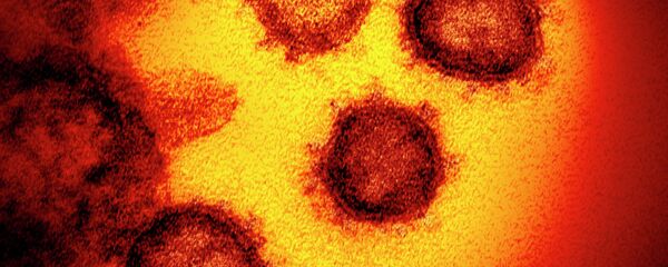 Коронавирус SARS-CoV-2. Архивное фото - Sputnik Кыргызстан
