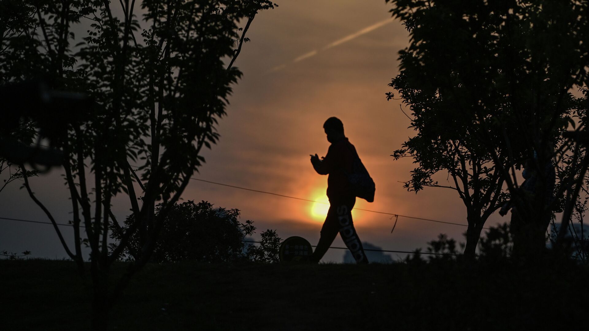 Мужчина гуляет на закате в парке. Архивное фото - Sputnik Кыргызстан, 1920, 07.06.2021