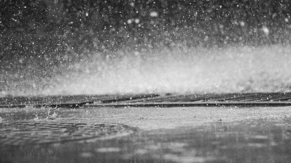 Дождливая погода. Архивное фото - Sputnik Кыргызстан